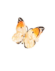 Anillo mariposa