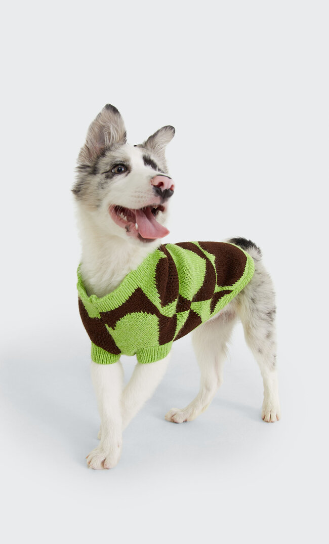 Stradivarius Pets Hearts Sweater Green M