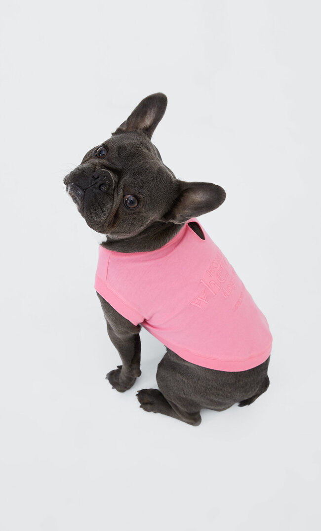 Stradivarius Embroidered Pets Top Dark Fuchsia L