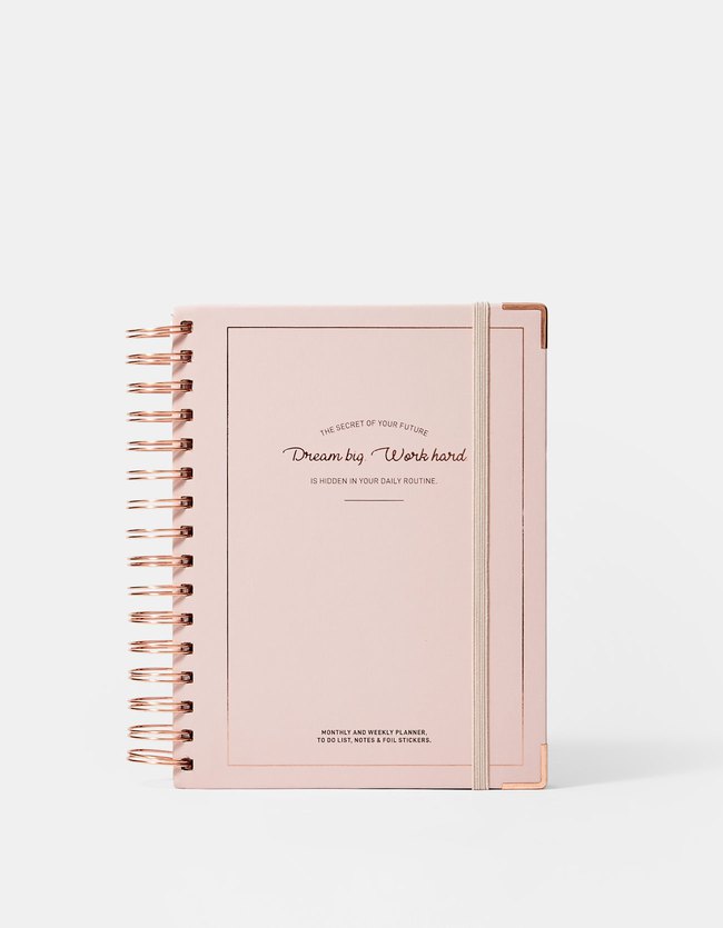 Stradivarius Premium Planner Dames Pastelroze 103 stradivarius kopen in de aanbieding