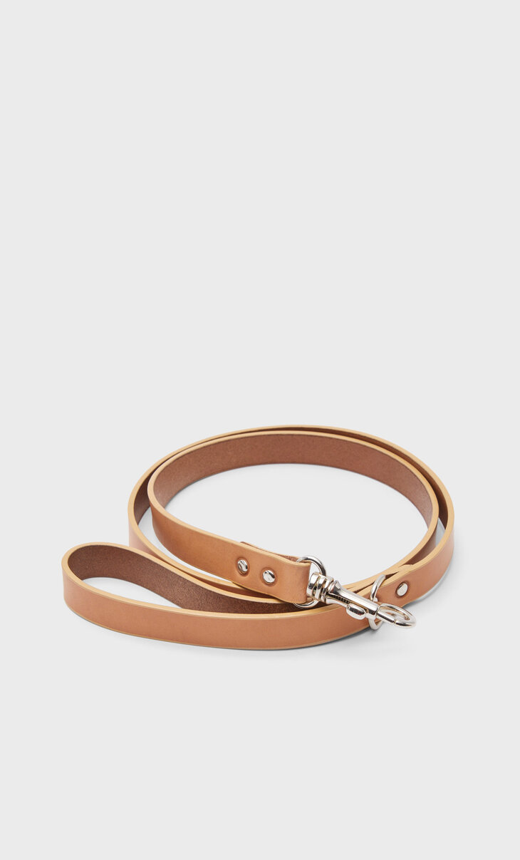 Leather leash for pets