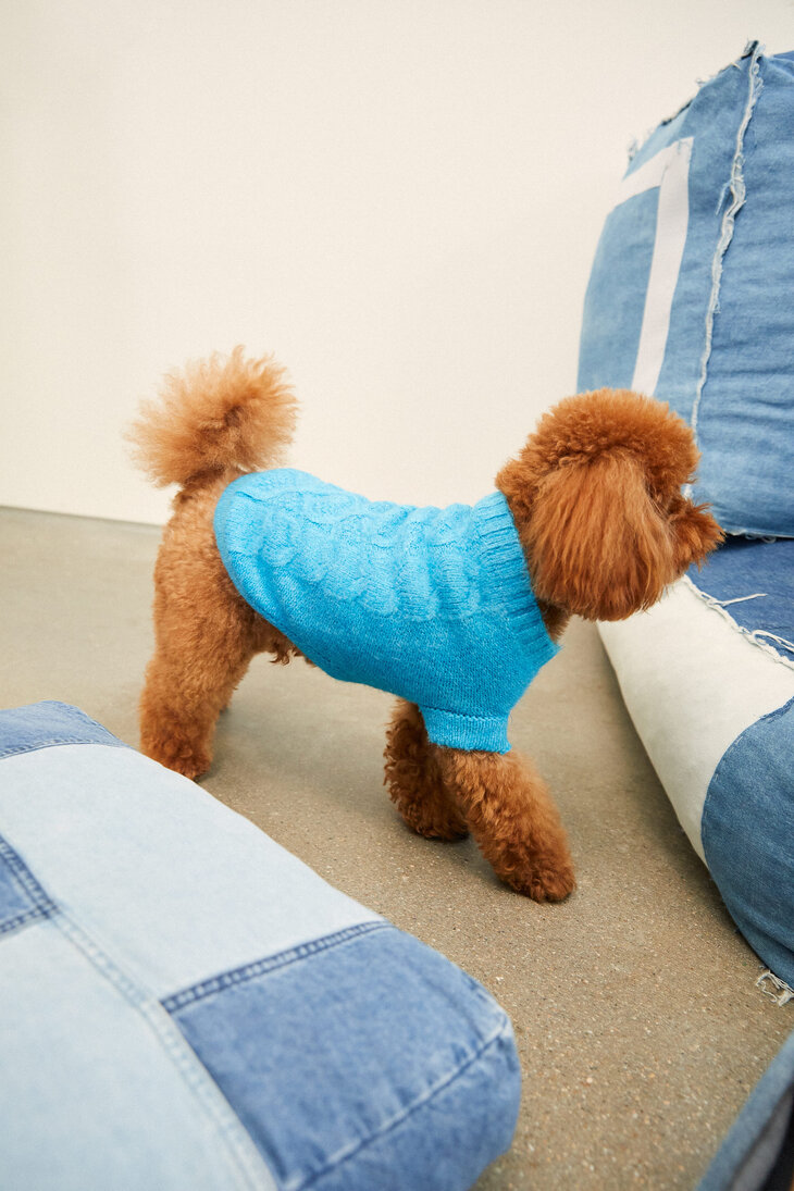 Cable-knit pet sweater