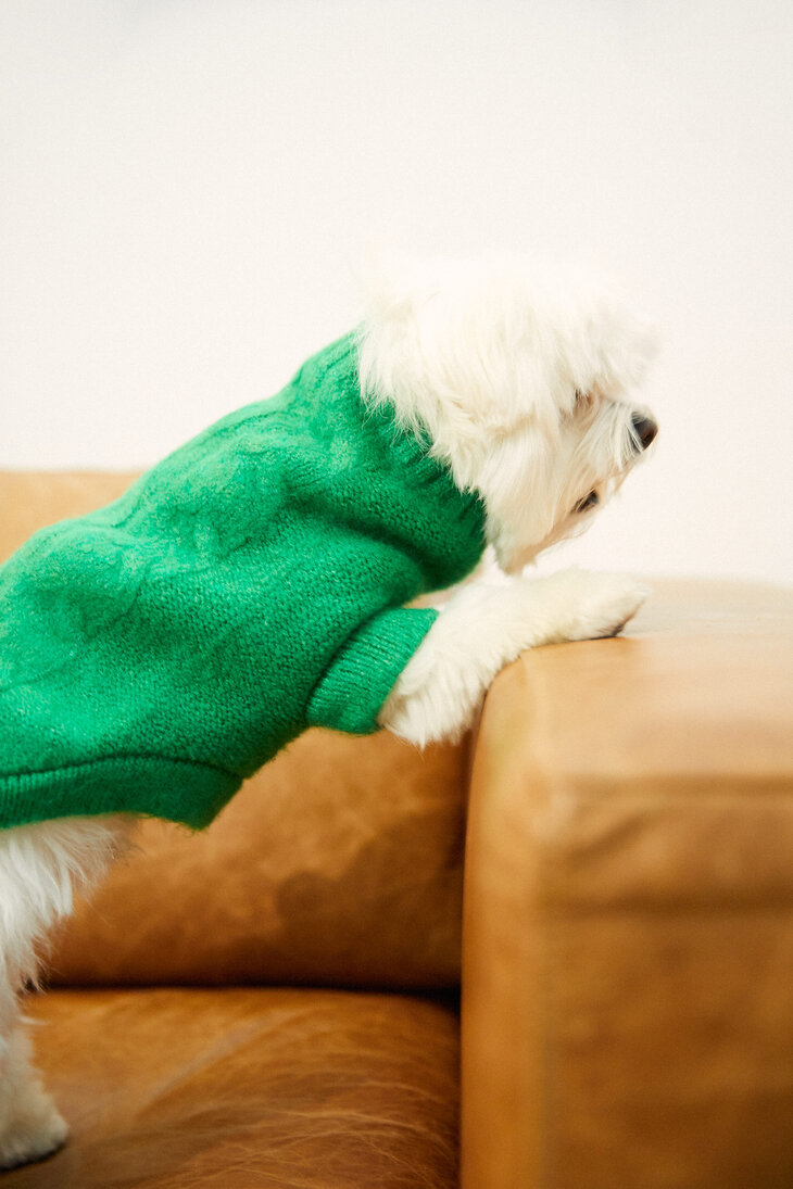 Pleten pulover za hišne ljubljenčke z vzorcem osmic