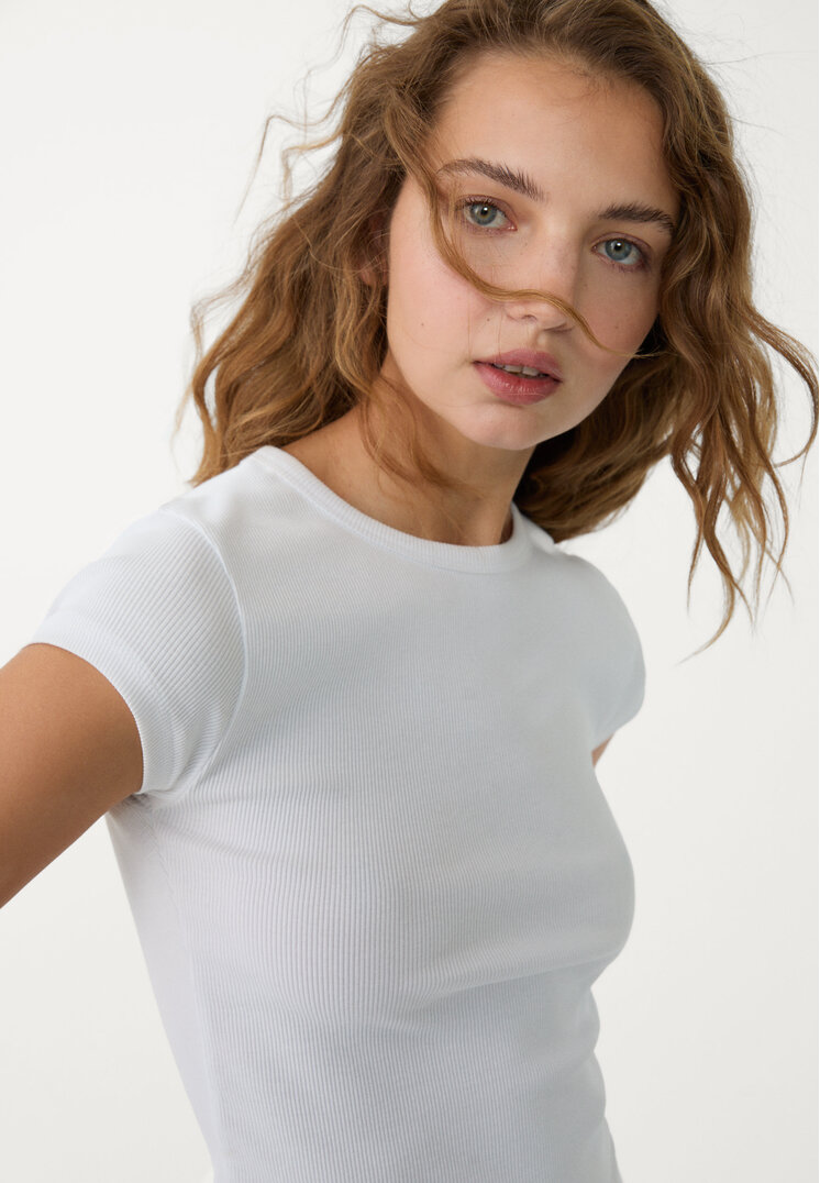 camiseta fitted canale