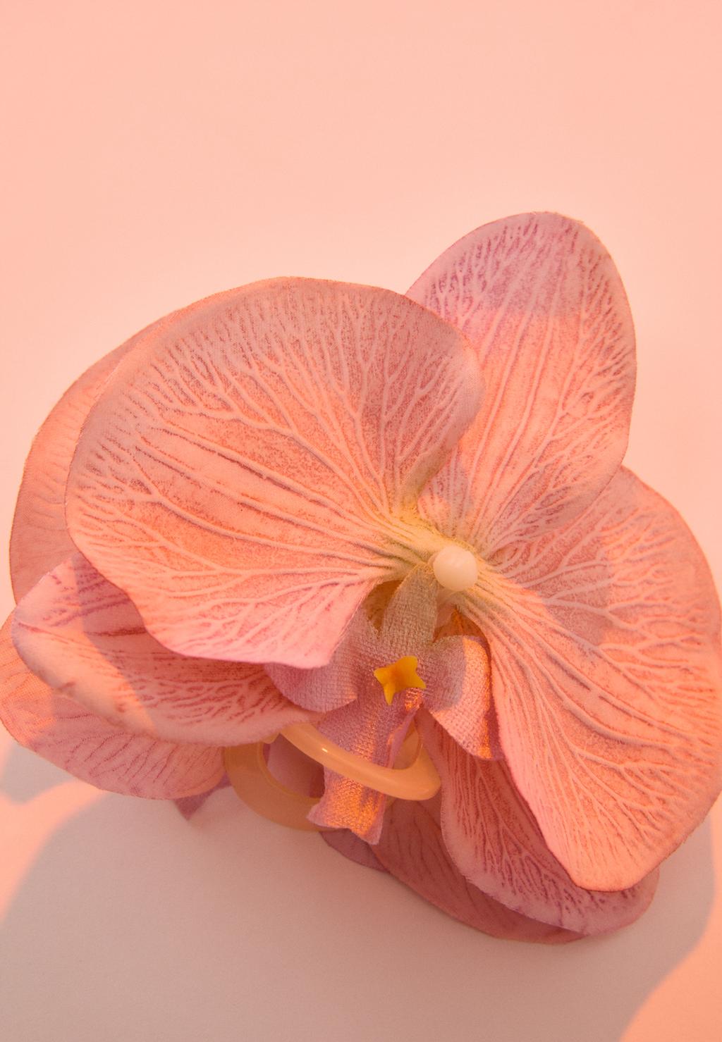 Pinza pelo flor orquídea