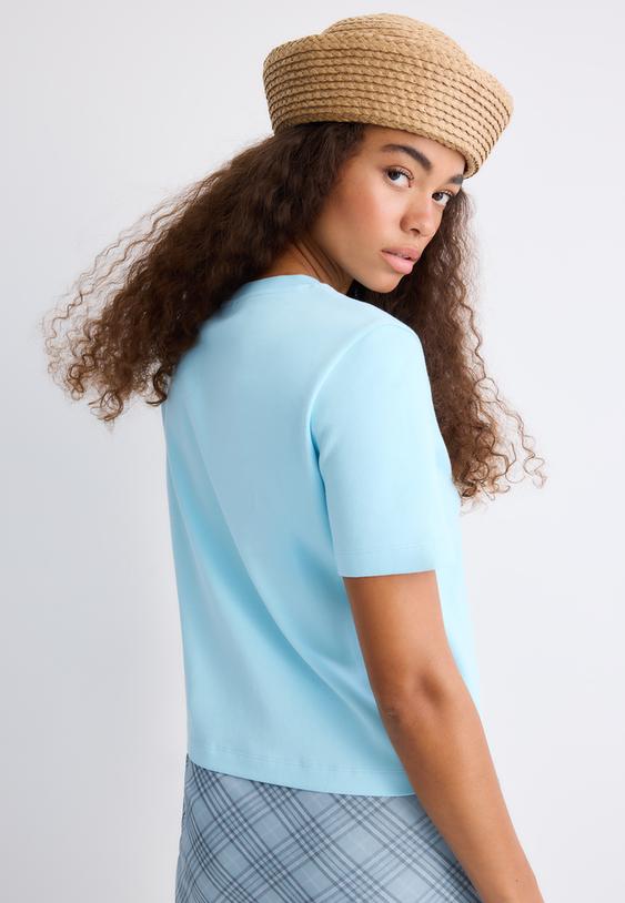 basic regular fit heavy weight tshirt