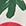 Tomato print scarf — Red