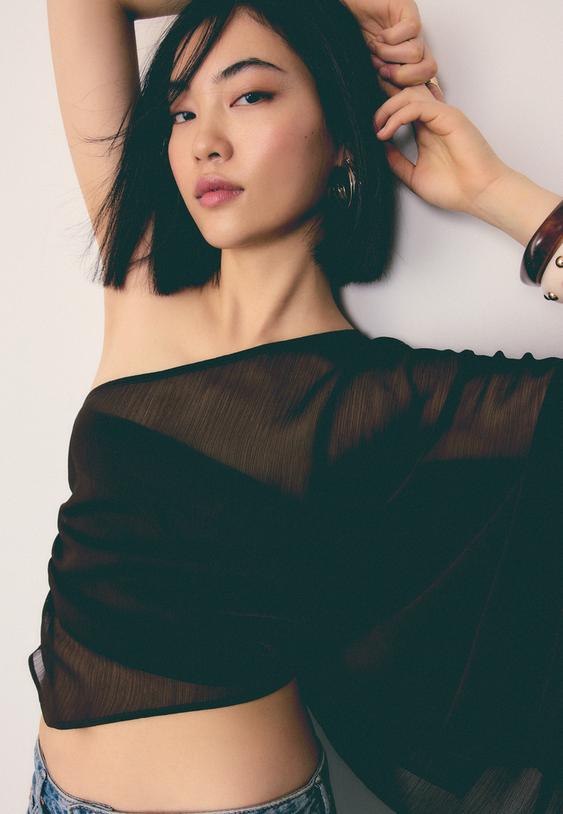 Асиметрична Пелерина