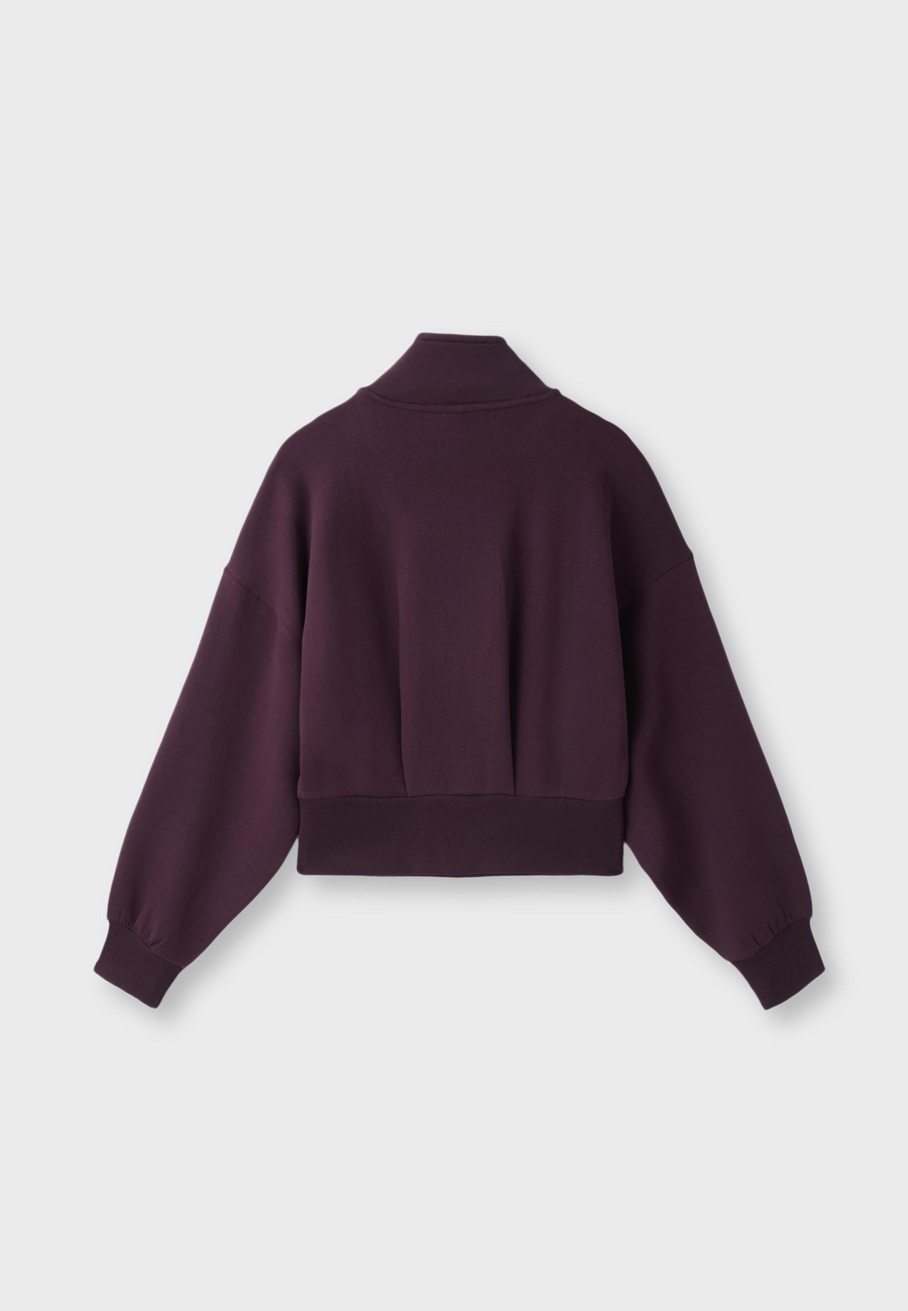 B10 Zip-up sweatshirt with collar — Dark purple