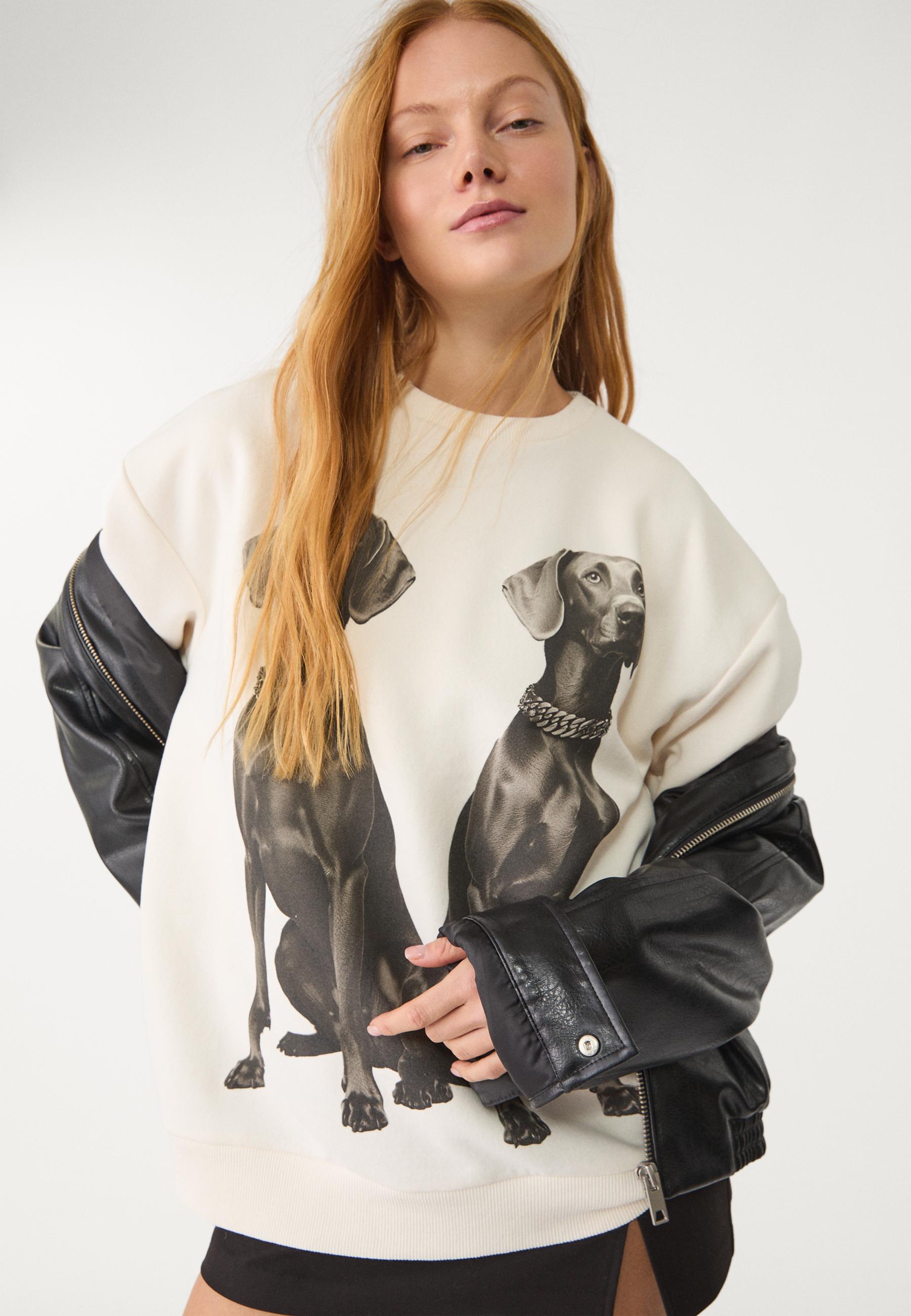 Dog print sweatshirt - Women's fashion | Stradivarius United
