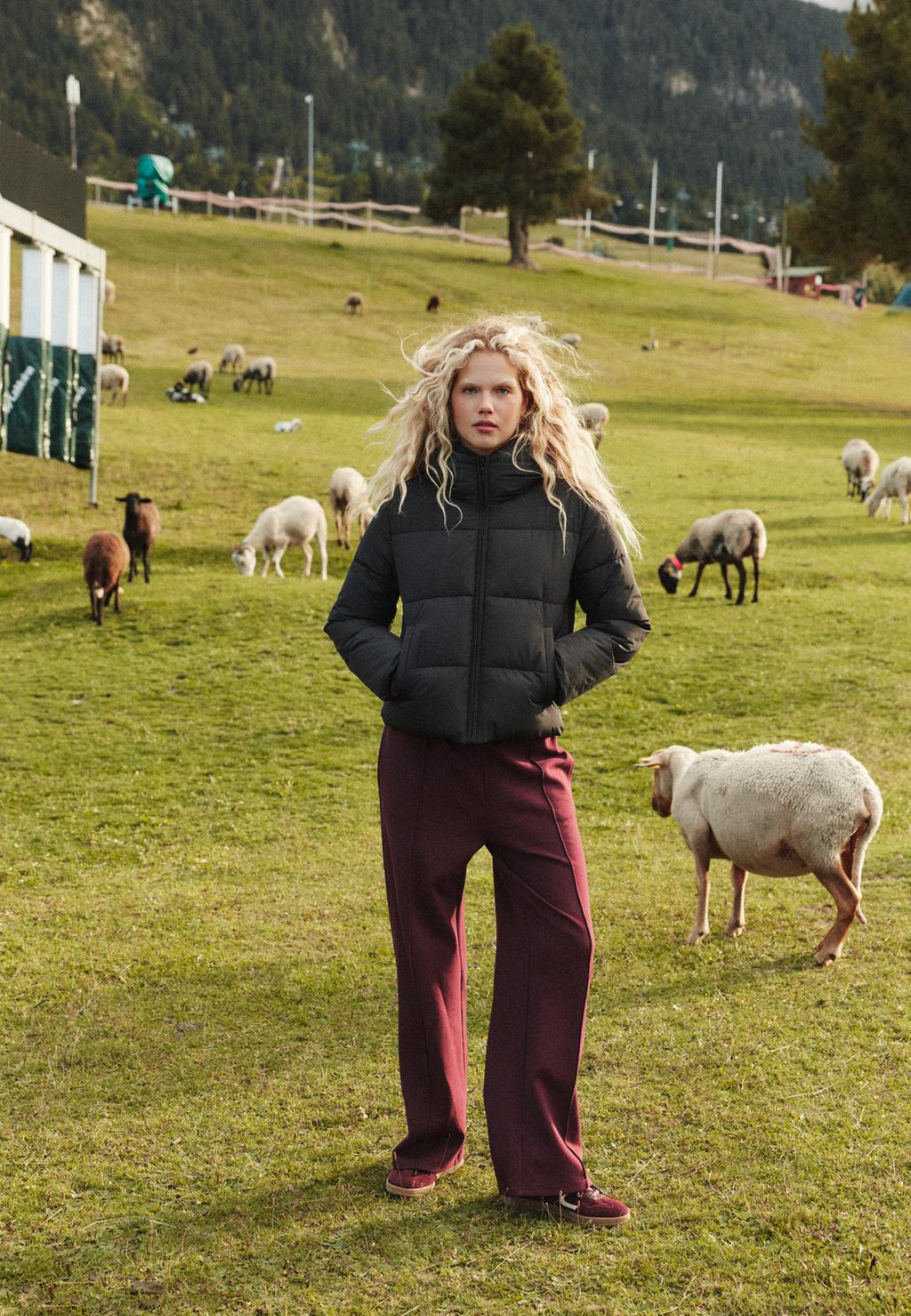 Basic Steppjacke mit Kapuze