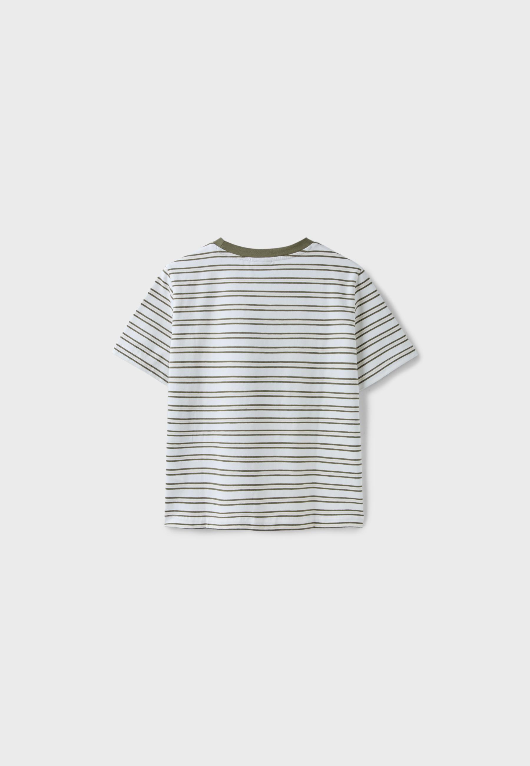 B01 Regular striped T-shirt — Khaki