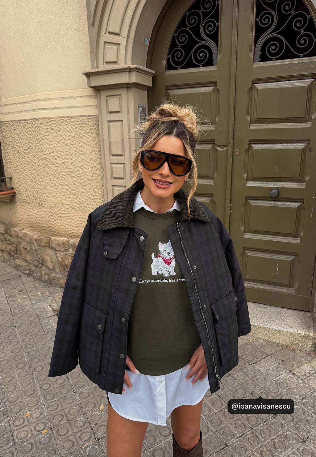 Embroidered dog sweatshirt