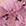 Vestito corto spalline pizzo